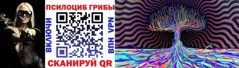 Галлюциногенные грибы GOLDEN TEACHER  Чита 
